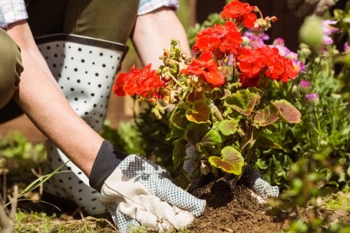 Volunteer gardener demonstrating planting techniques