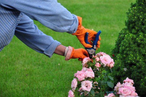 Screen-reader user accessing gardening resources on a tablet