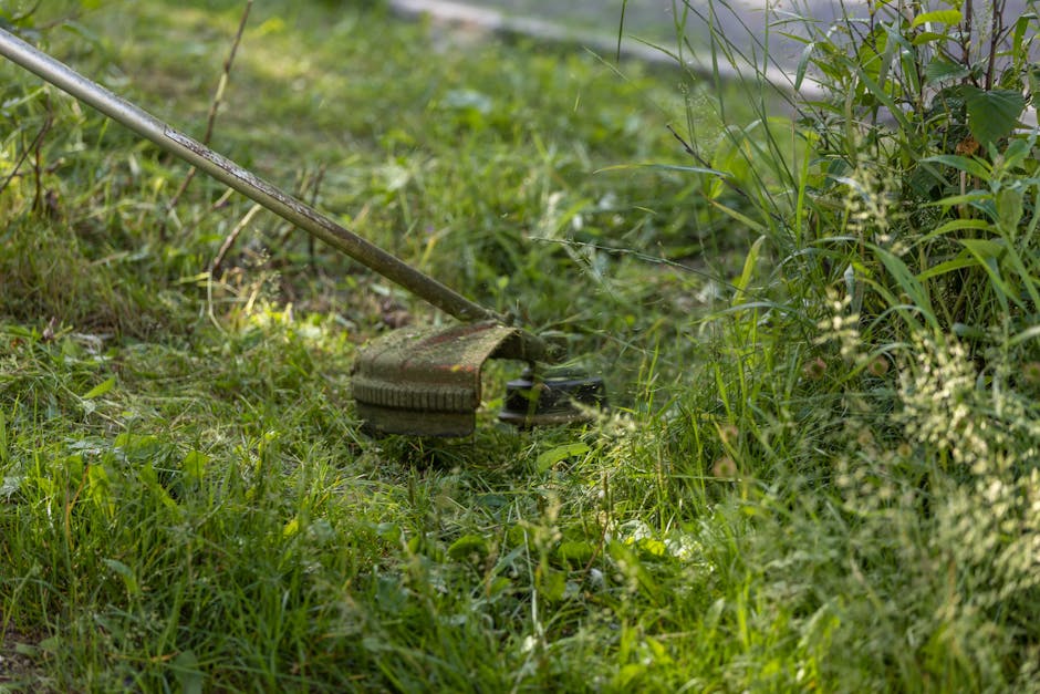 A close-up view of a garden during daytime showing lush green grass and a variety of plants alongside a narrow pathway. A garden rake with a long wooden handle and slightly worn metal tines is resting