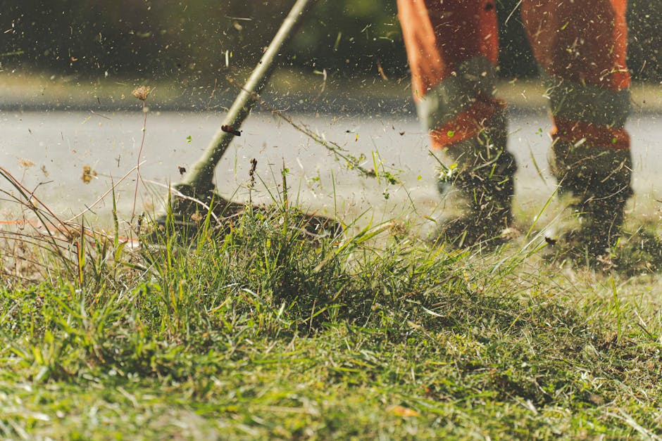 A close-up view of a garden during daytime showing lush green grass and a variety of plants alongside a narrow pathway. A garden rake with a long wooden handle and slightly worn metal tines is resting